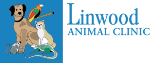 Linwood Animal Clinic - Lakefield Veterinary Group