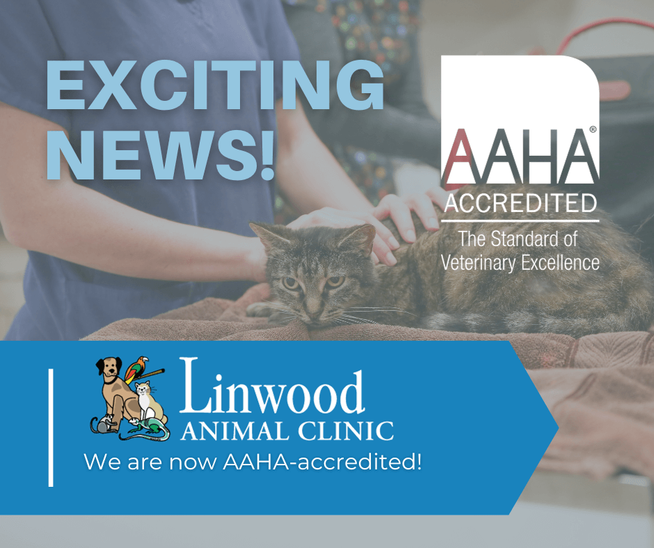 AAHA Accredited - Milwaukie Animal Clinic - Linwood Animal Clinic