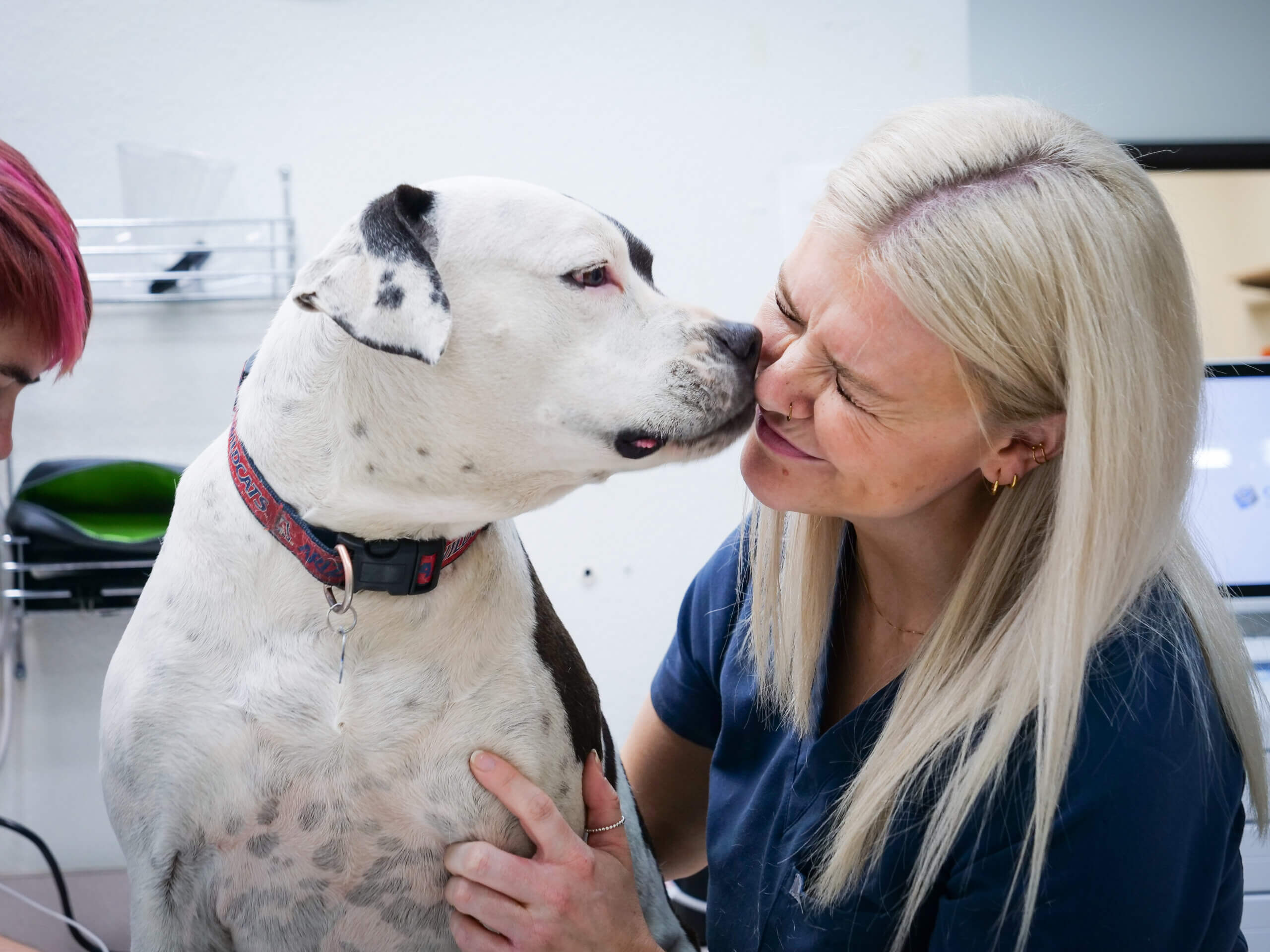 Complete Your Booking - Linwood Animal Clinic