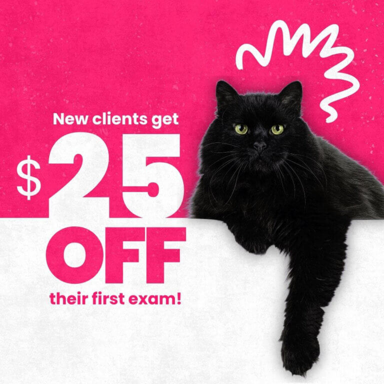 New clients get $25 off their first exam!