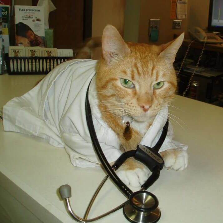 Ivan, a former administrator at Linwood Animal Clinic.