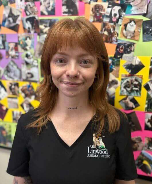 Hannah, a Client Care Specialist at Linwood Animal Clinic.