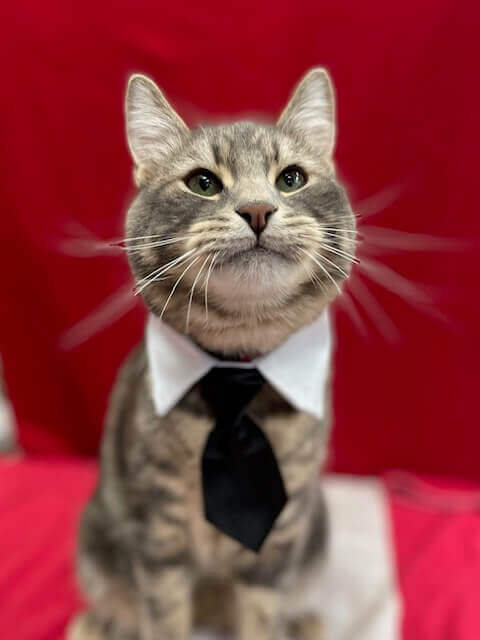 Stanley, an administrator at Linwood Animal Clinic.