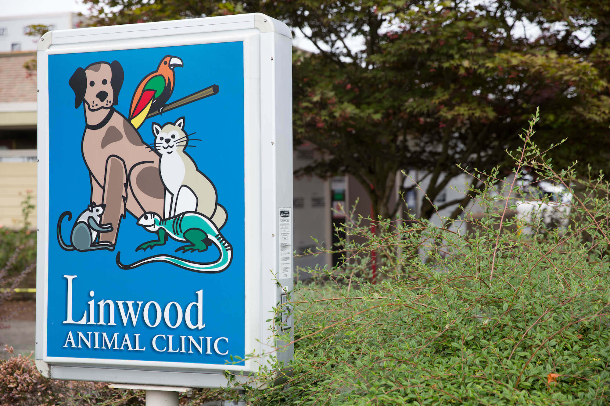 linwood-animal-clinic-hospital-tour