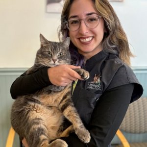 Dr. Alisha Corringham, a veterinarian at Linwood Animal Clinic.